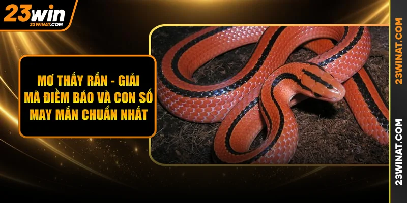 Mơ Thấy Rắn - Giải Mã Điềm Báo Và Con Số May Mắn Chuẩn Nhất 