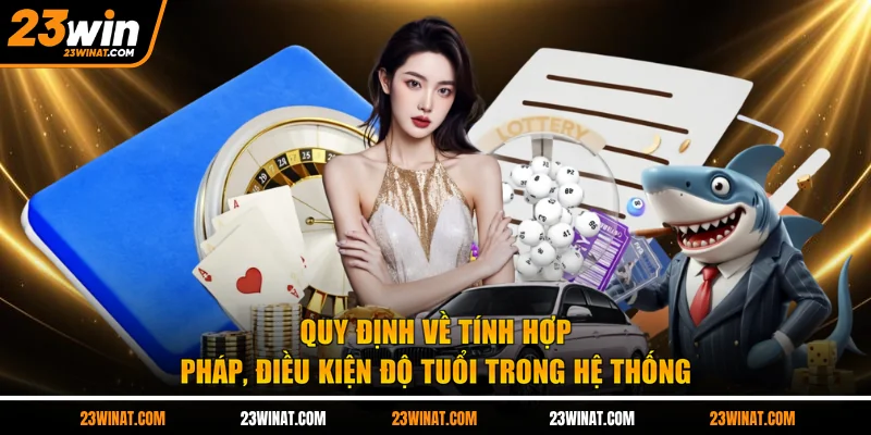 Quy định về tính hợp pháp, điều kiện độ tuổi trong hệ thống 