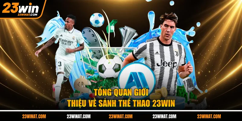 Tổng quan giới thiệu về sảnh thể thao 23WIN